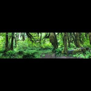 Meet your Posher, Ursula